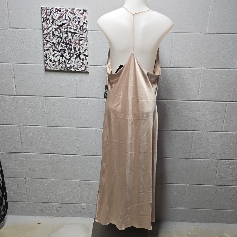 Express Satin Dress in Champagne - Picture 5 of 15